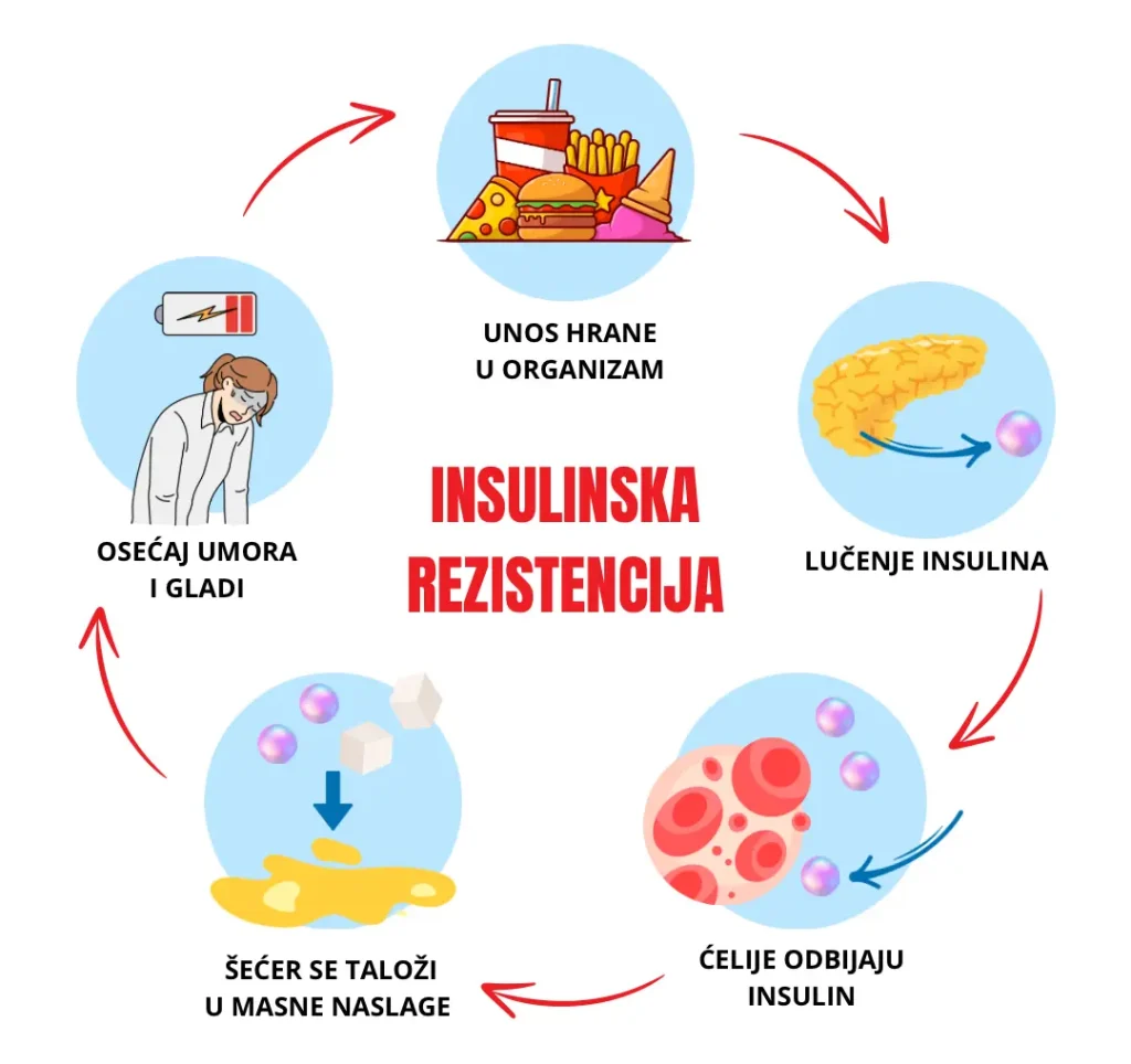 Infografik - Šta se dešava u telu osobe koja ima insulinsku rezistenciju